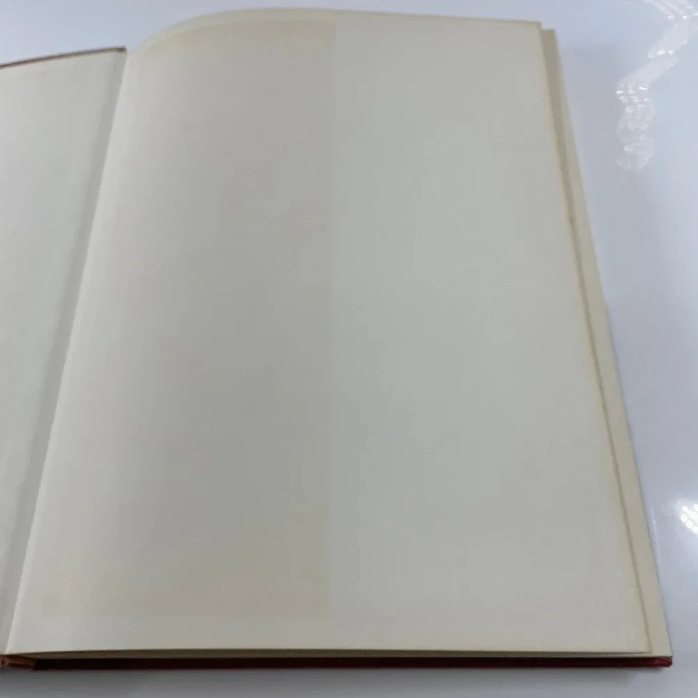 The Moderns Gaston Diehl Art History Book 1961 Treasury of Painting World
